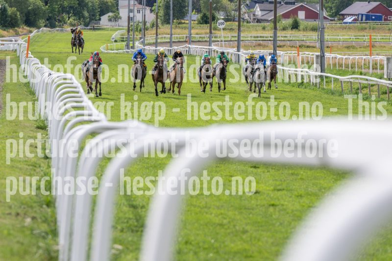 20250730-134024-DSC_1719