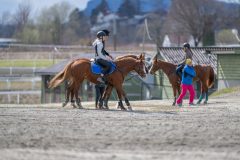 20240420-140543-DSC_9502