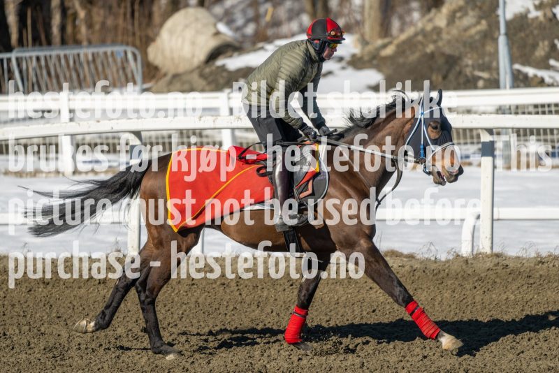 20230401-114126-DSC_8525
