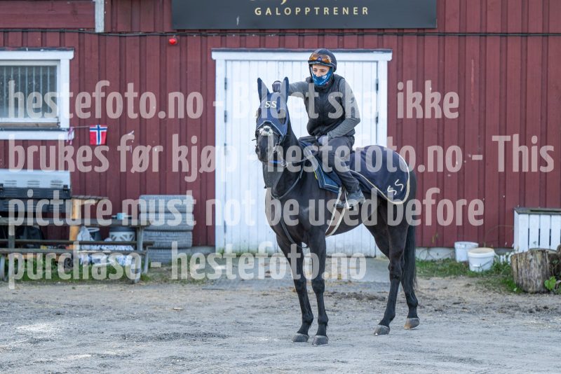 20241102-123015-DSC_4805