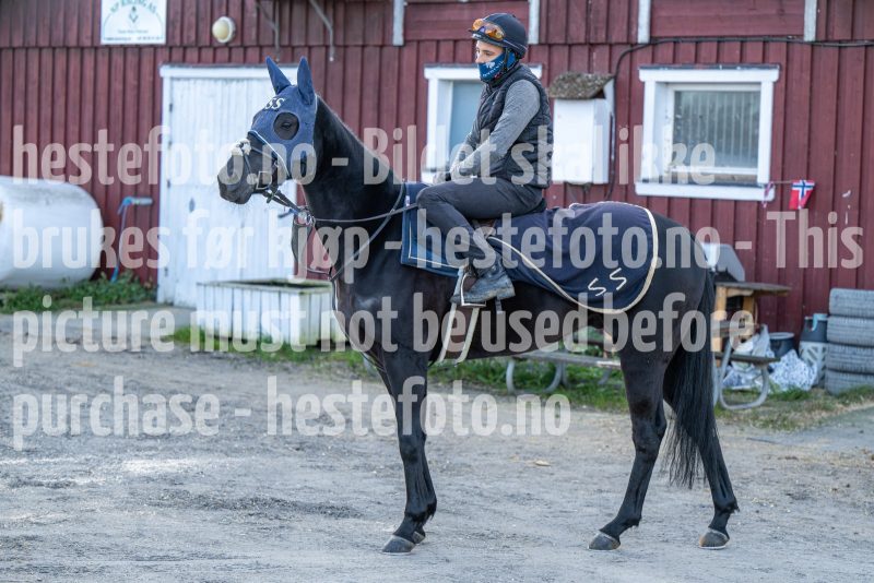 20241102-123034-DSC_4820