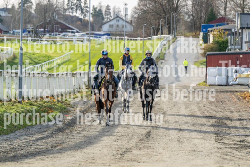 20241102-123901-DSC_4968