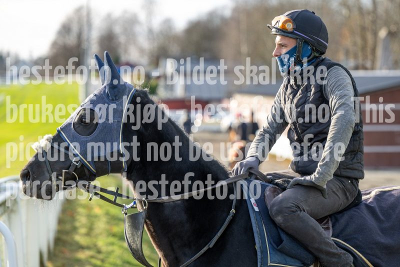 20241102-124017-DSC_5079