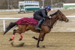 20220403-131117-DSC7672