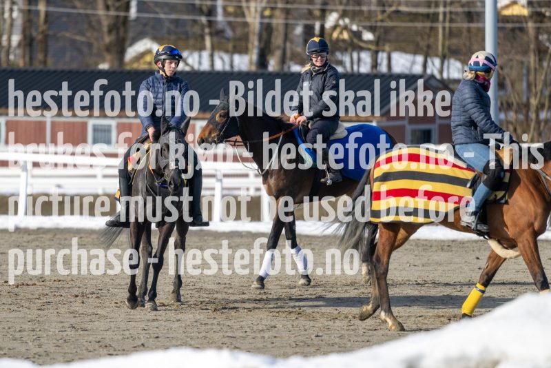 20230304-124711-DSC_6553