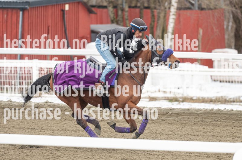 20240406-130918-DSC_0294