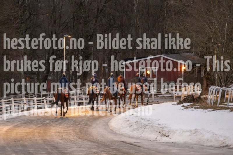 20250208-090616-DSC_7181