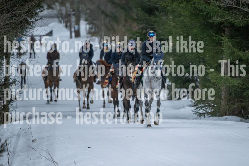 20250208-093823-DSC_7265