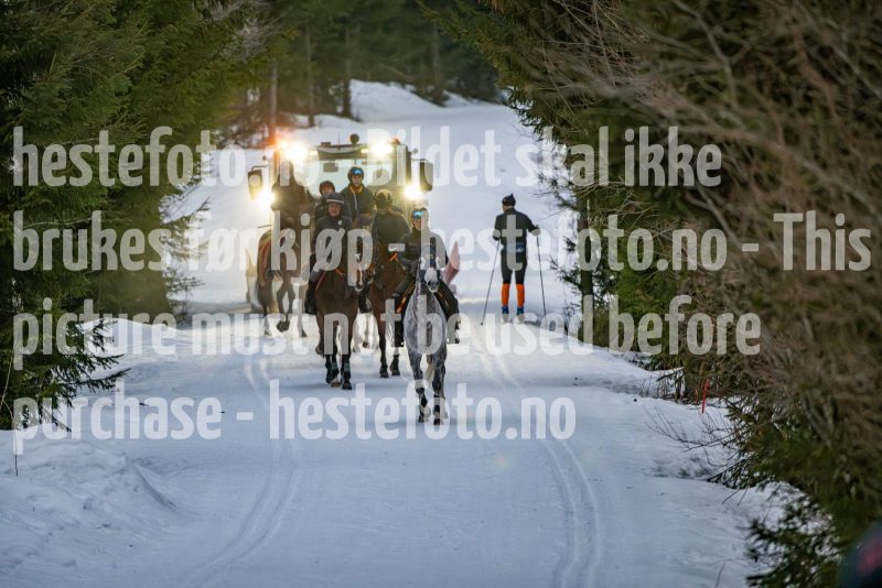 20250208-094546-DSC_7508