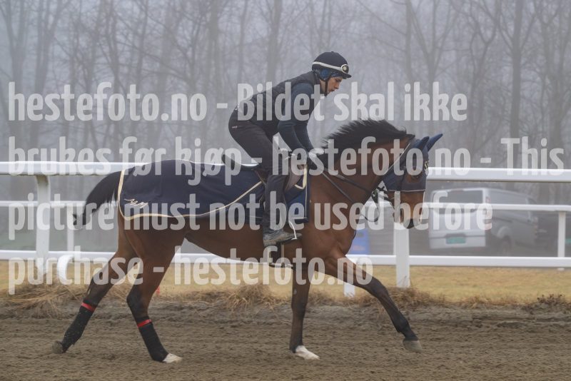 20250308-103114-DSC_0623