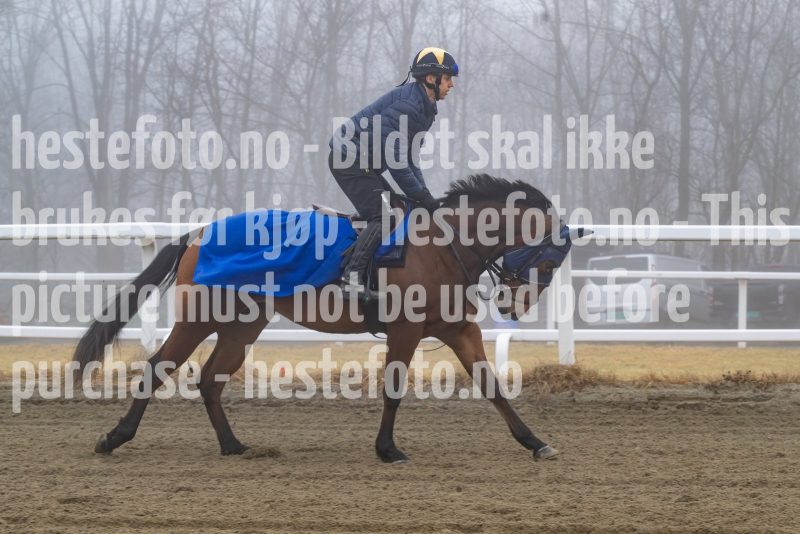 20250308-103200-DSC_0674