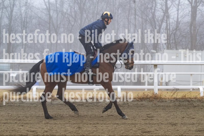 20250308-103200-DSC_0678