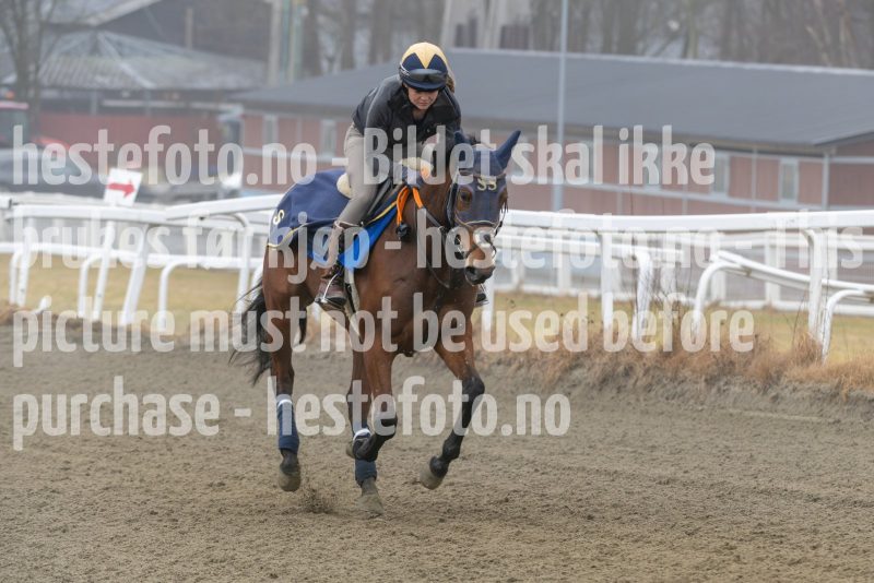 20250308-114534-DSC_1120