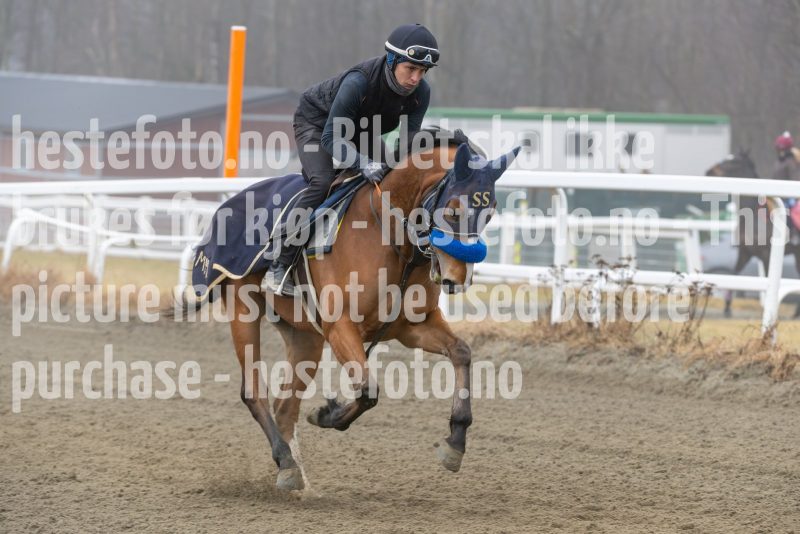 20250308-114740-DSC_1230