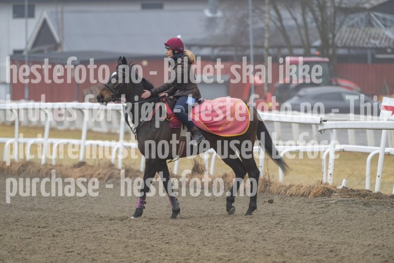 20250308-114804-DSC_1265