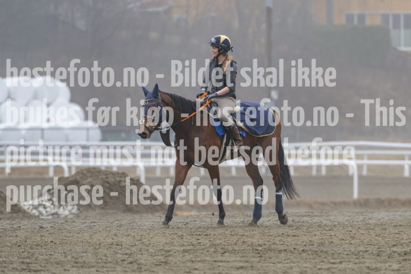 20250308-114914-DSC_1313