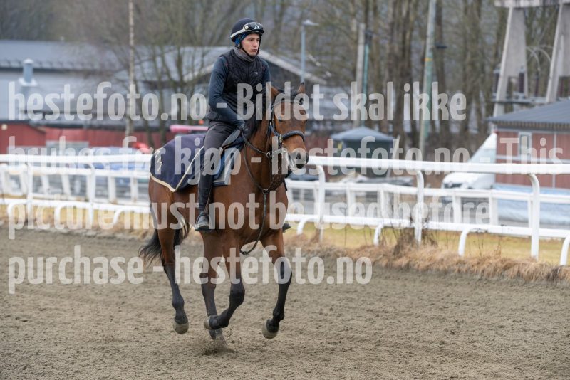 20250308-125929-DSC_2349