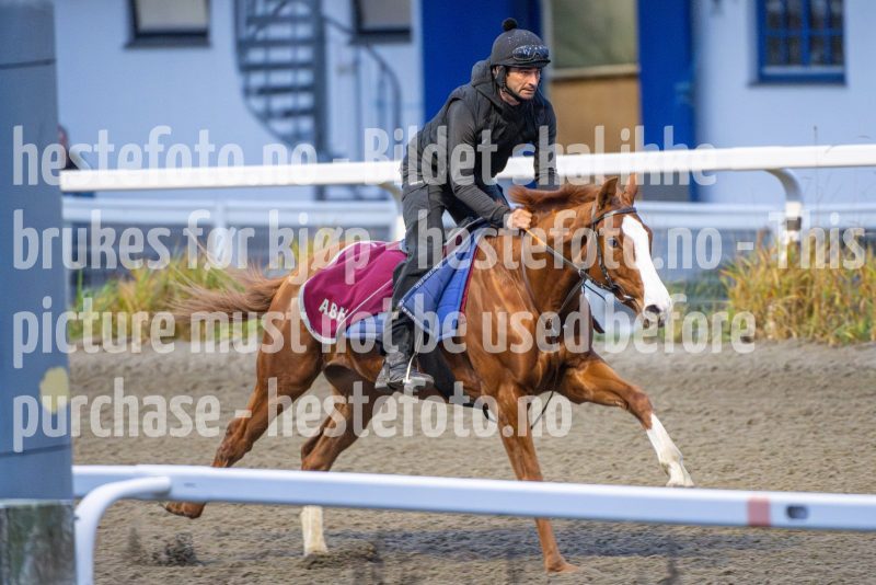 20251108-091731-DSC_6566