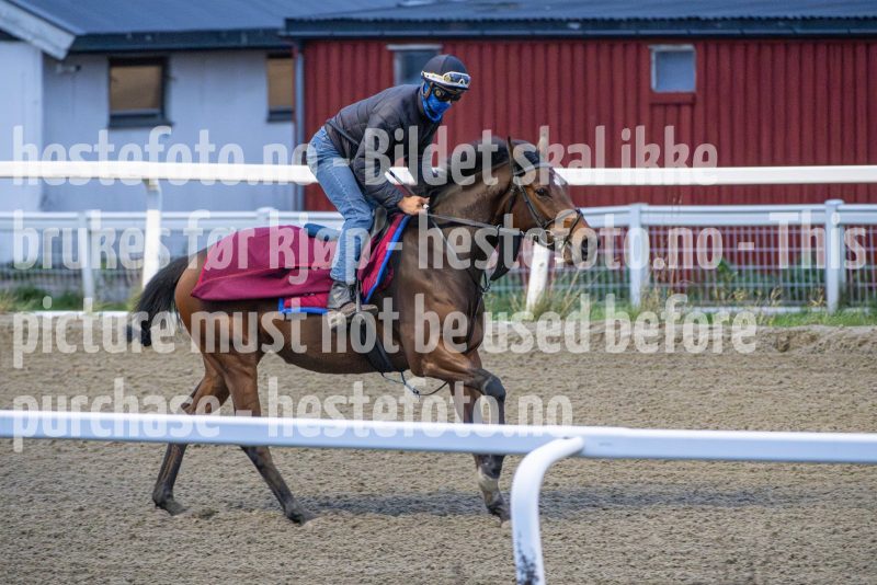 20251108-091850-DSC_6604