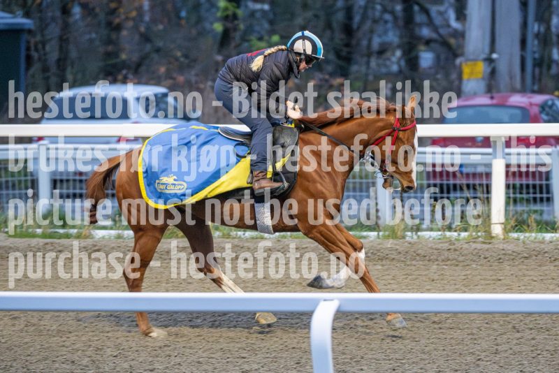 20251108-092114-DSC_6655