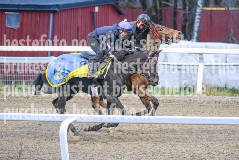 20251108-092244-DSC_6685