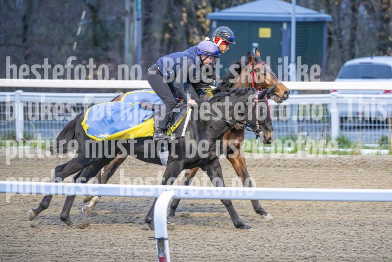 20251108-092245-DSC_6702