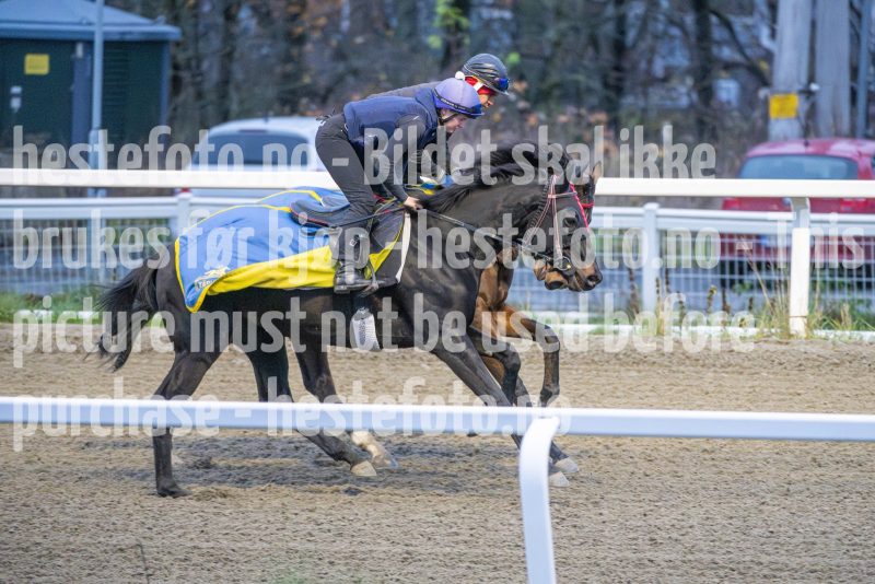 20251108-092245-DSC_6709