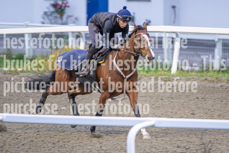 20251108-093757-DSC_6914