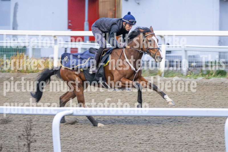 20251108-093758-DSC_6922