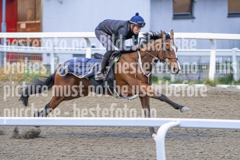 20251108-093758-DSC_6924