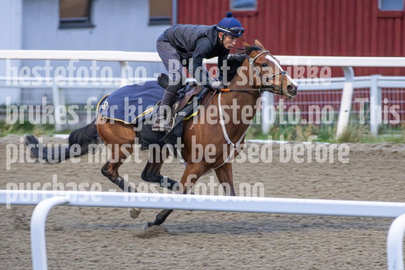 20251108-093759-DSC_6927