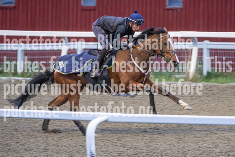 20251108-093759-DSC_6930