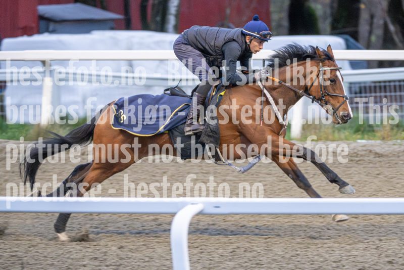 20251108-093759-DSC_6939