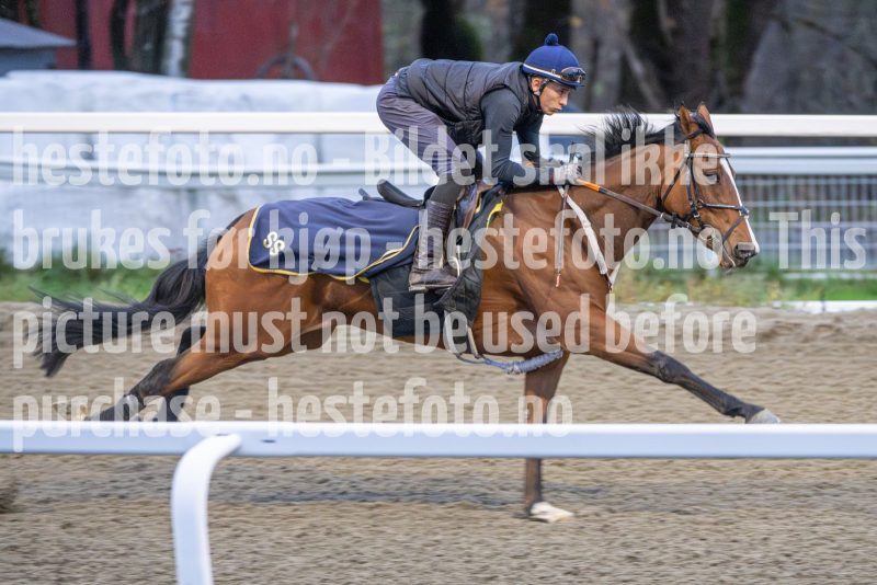 20251108-093759-DSC_6940