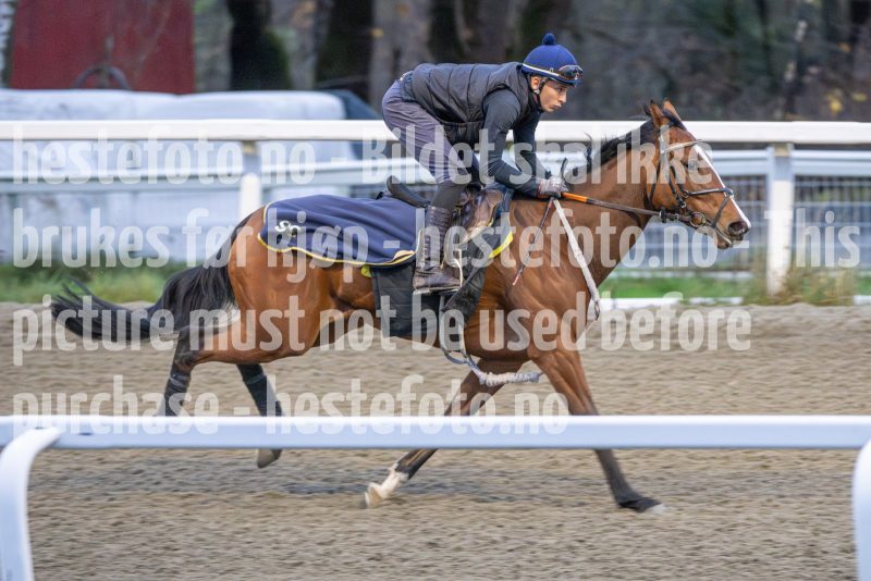 20251108-093759-DSC_6941