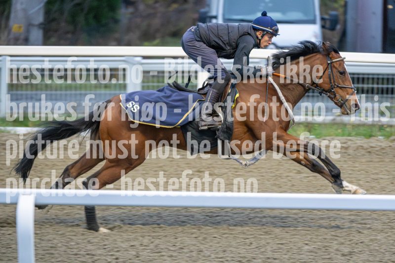 20251108-093800-DSC_6954