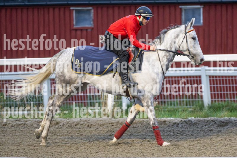 20251108-093849-DSC_6974