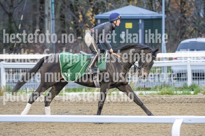 20251108-094109-DSC_7151