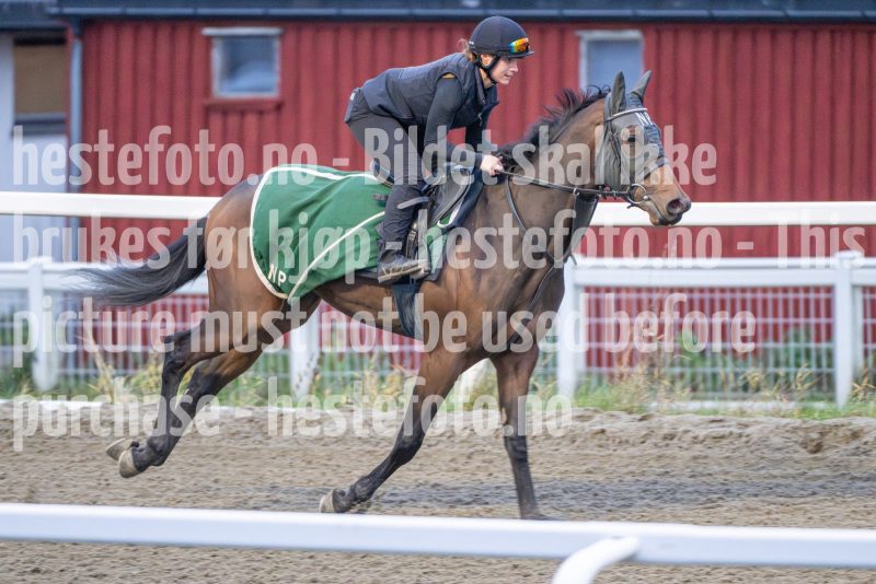 20251108-094129-DSC_7181