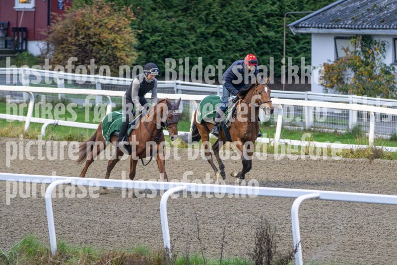 20251108-094203-DSC_7241