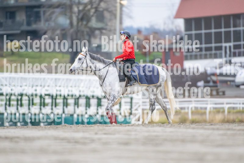 20251108-094239-DSC_7329