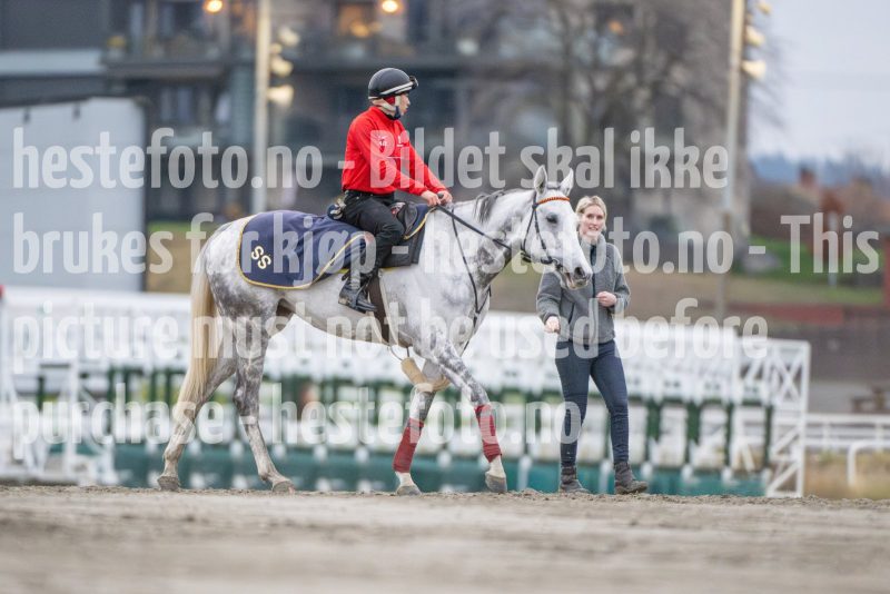 20251108-094325-DSC_7467