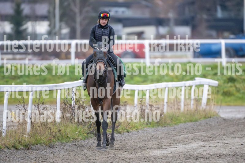 20251108-094449-DSC_7518