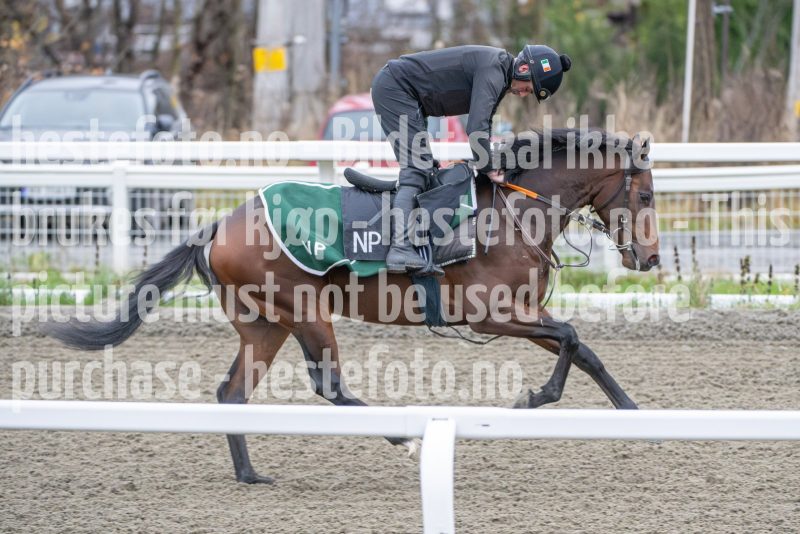 20251108-103918-DSC_7628