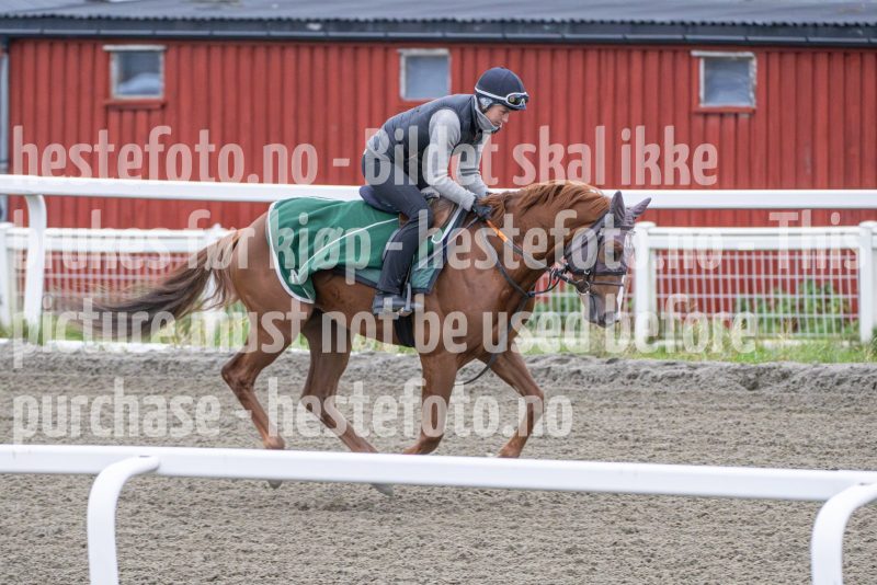 20251108-103938-DSC_7644