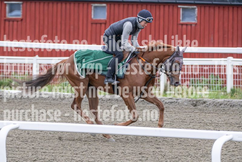 20251108-103938-DSC_7645