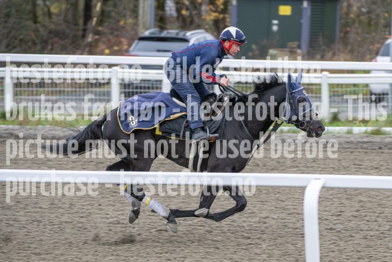 20251108-104039-DSC_7718