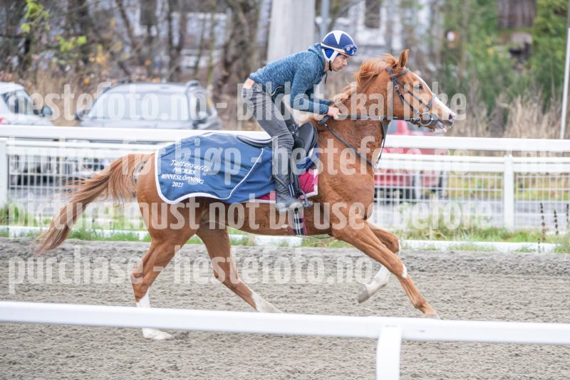 20251108-104113-DSC_7768