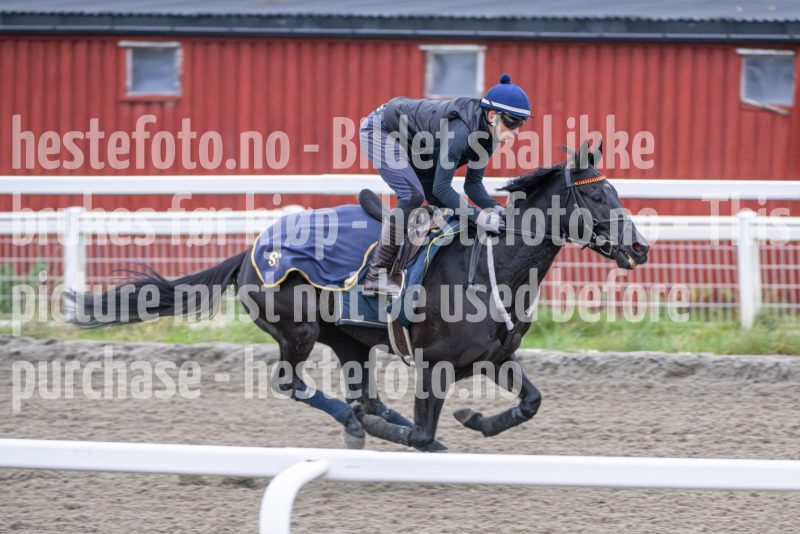 20251108-104218-DSC_7799