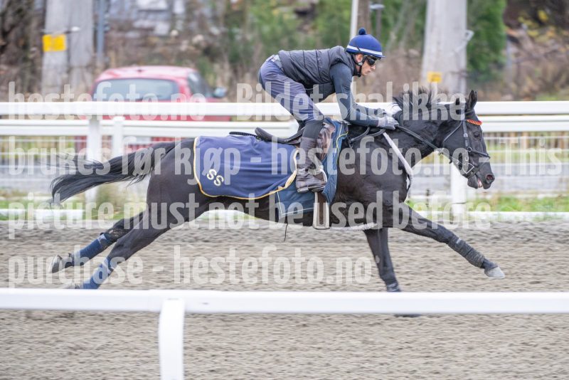 20251108-104219-DSC_7819